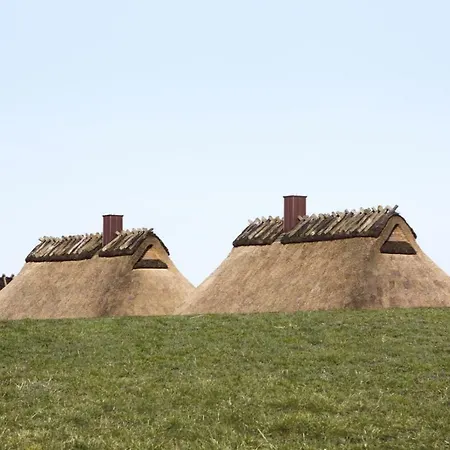 Luxus Ostseeferienhaus Feenkraut *